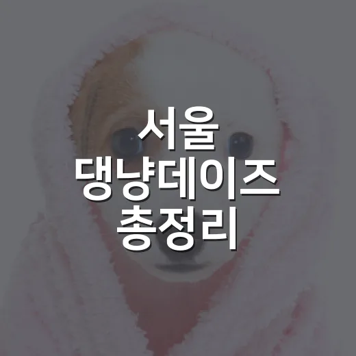 서울 댕냥데이즈 총정리
