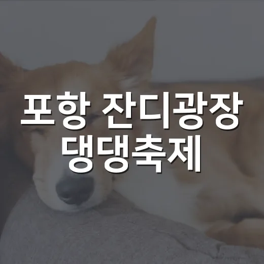 포항 잔디광장 댕댕축제