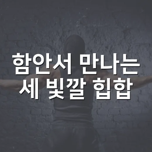 함안서 만나는 세 빛깔 힙합