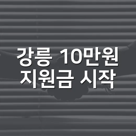 강릉 10만원 지원금 시작