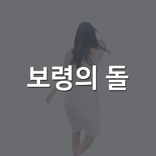 보령의 돌, 역사가 되다