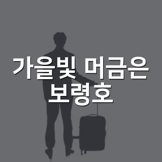 가을빛 머금은 보령호