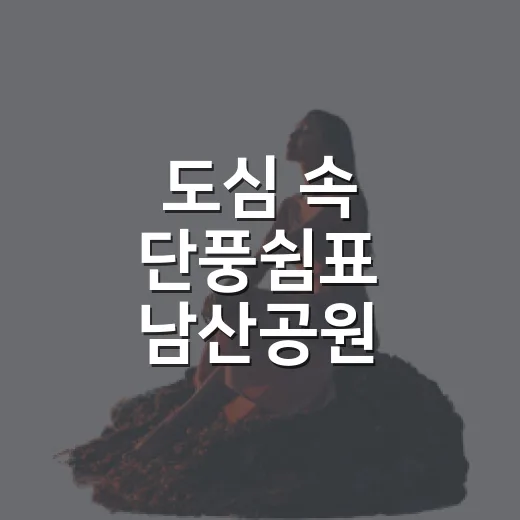 도심 속 단풍쉼표 남산공원