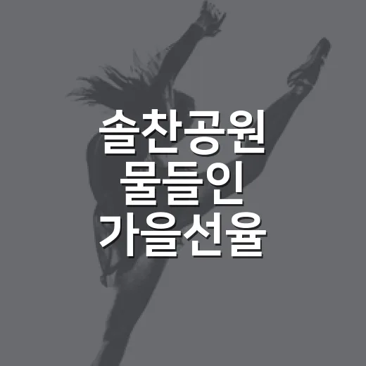 솔찬공원 물들인 가을선율