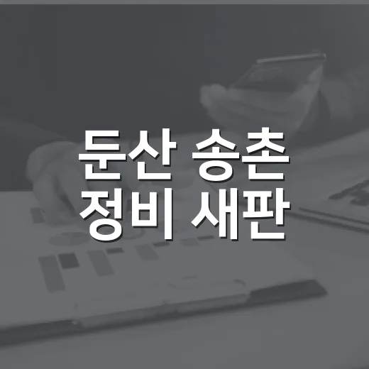 둔산 송촌 정비 새판