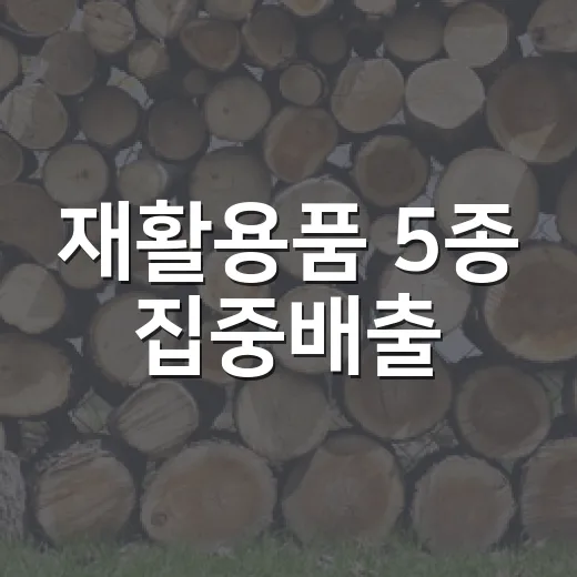 재활용품 5종 집중배출