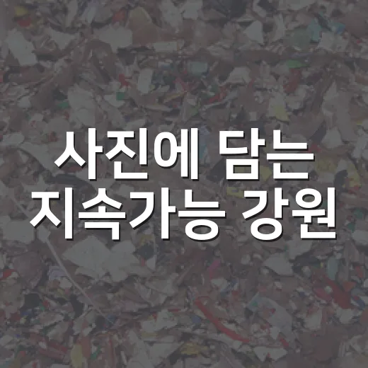 사진에 담는 지속가능 강원