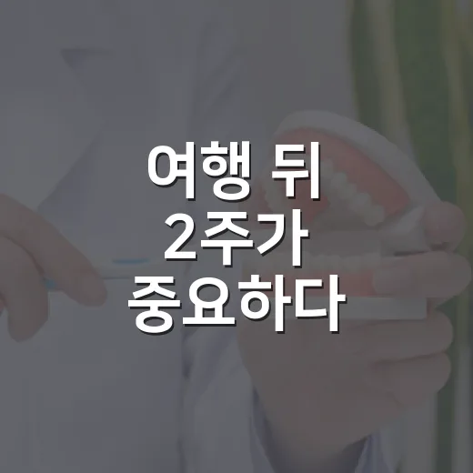 여행 뒤 2주가 중요하다