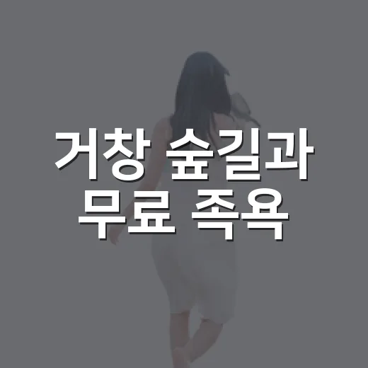 거창 숲길과 무료 족욕