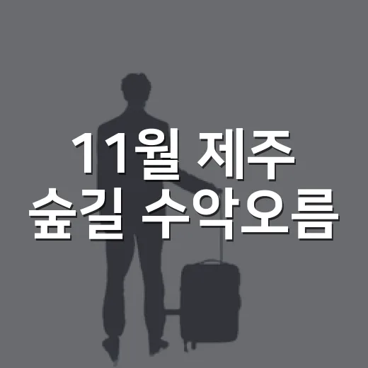 11월 제주 숲길 수악오름