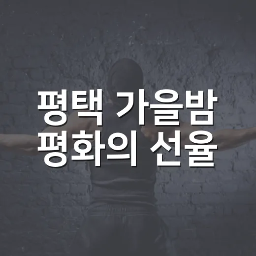 평택 가을밤 평화의 선율