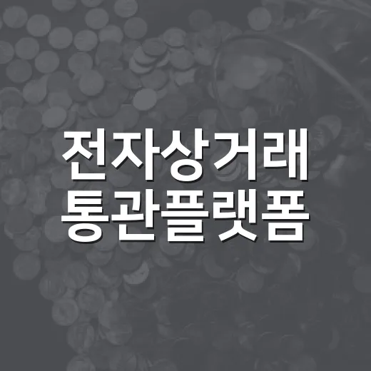 전자상거래 통관플랫폼, 해외직구 빨라진다