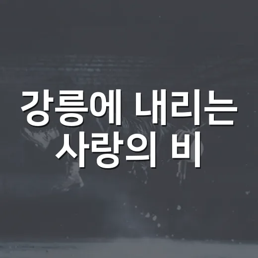 강릉에 내리는 사랑의 비