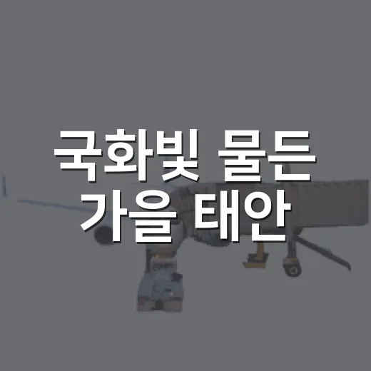 국화빛 물든 가을 태안