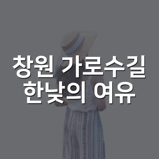 창원 가로수길 한낮의 여유