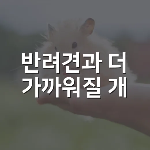 반려견과 더 가까워질 개