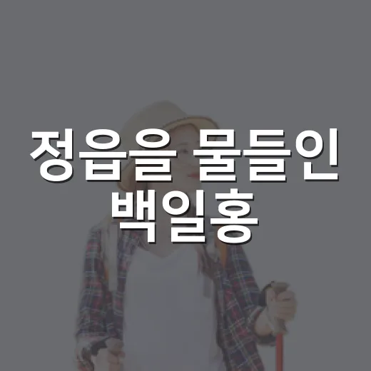 정읍을 물들인 백일홍