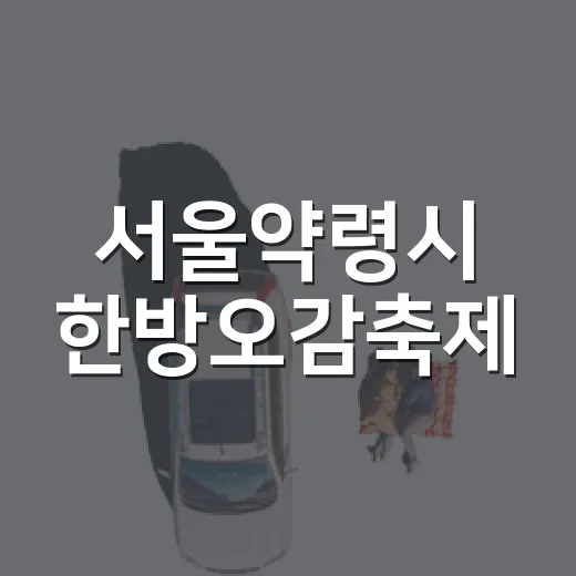 서울약령시 한방오감축제