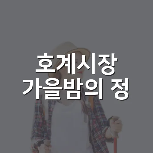 호계시장 가을밤의 정