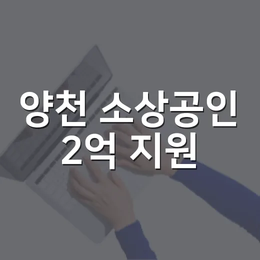 양천 소상공인 2억 지원