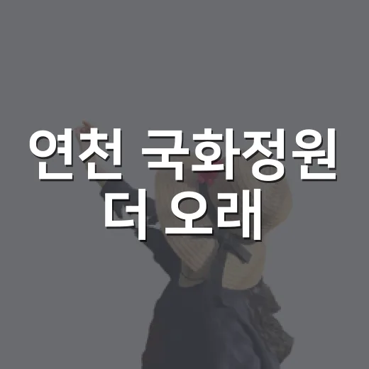 연천 국화정원 더 오래
