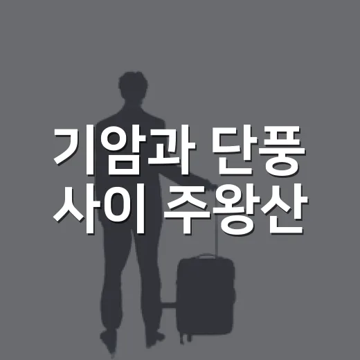 기암과 단풍 사이 주왕산