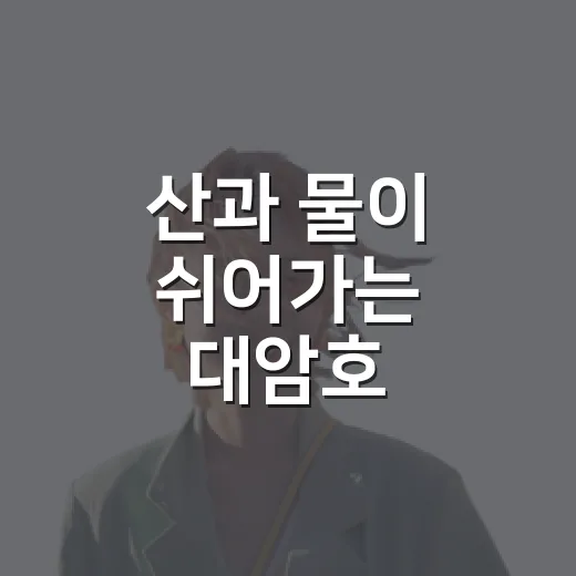 산과 물이 쉬어가는 대암호