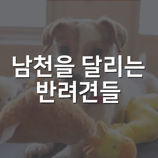 남천을 달리는 반려견들