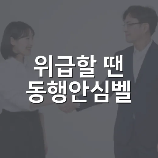 위급할 땐 동행안심벨