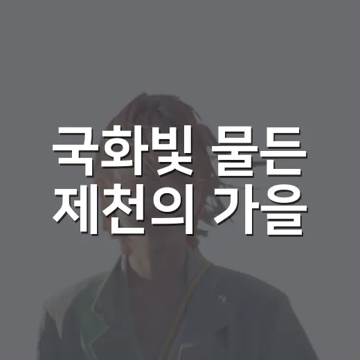 국화빛 물든 제천의 가을