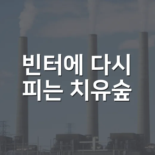 빈터에 다시 피는 치유숲
