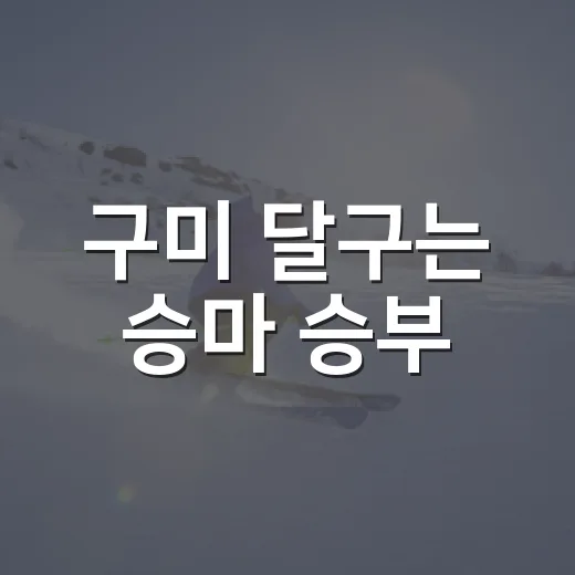 구미 달구는 승마 승부