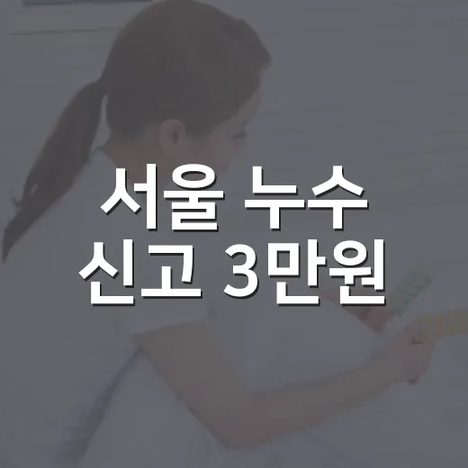 서울 누수 신고 3만원