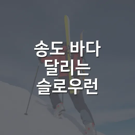 송도 바다 달리는 슬로우런