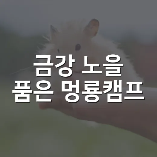 금강 노을 품은 멍룡캠프
