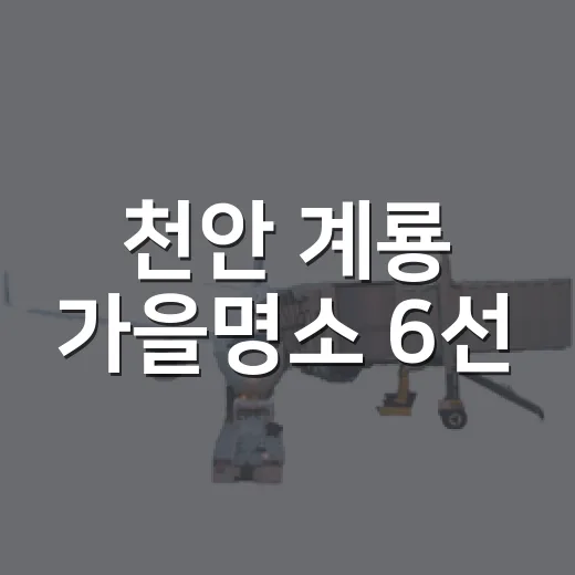 천안 계룡 가을명소 6선