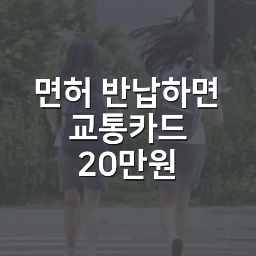 면허 반납하면 교통카드 20만원