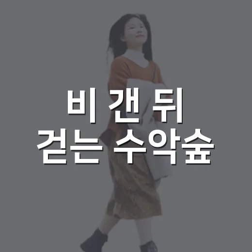 비 갠 뒤 걷는 수악숲