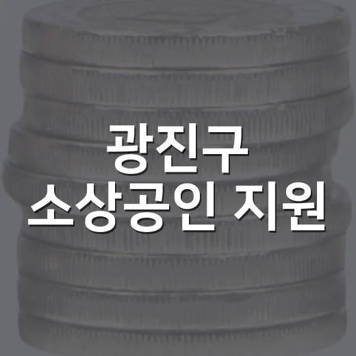 광진구 소상공인 지원, 경영주치의 사업 개시