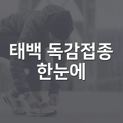 태백 독감접종 한눈에