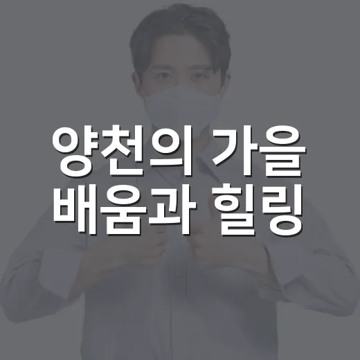 양천의 가을 배움과 힐링
