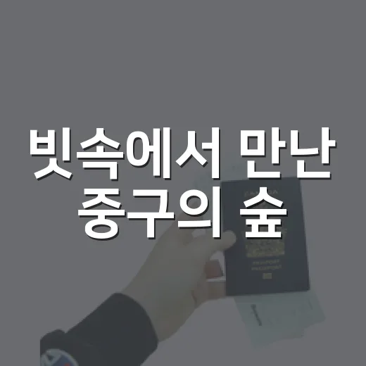 빗속에서 만난 중구의 숲
