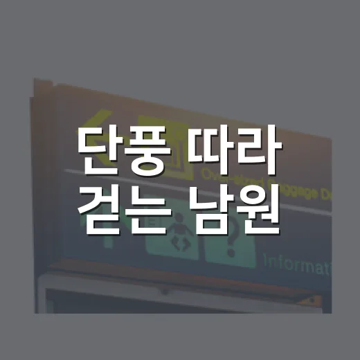 단풍 따라 걷는 남원