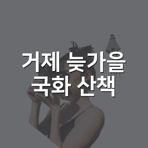 거제 늦가을 국화 산책