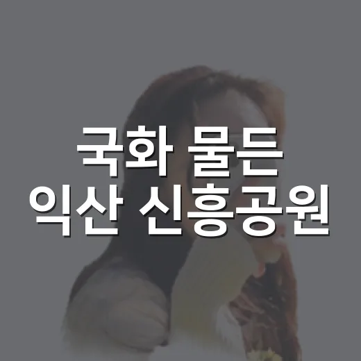 국화 물든 익산 신흥공원