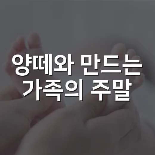 양떼와 만드는 가족의 주말