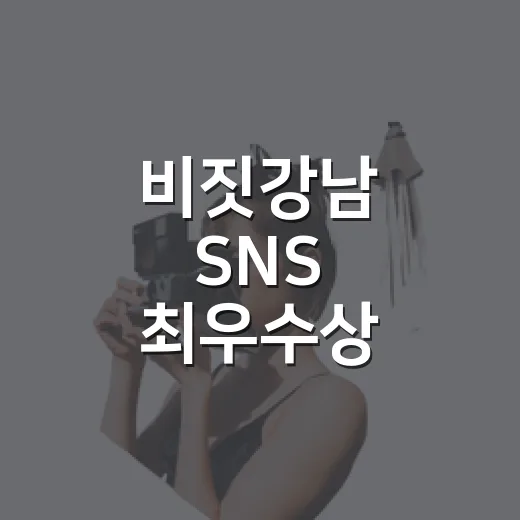 비짓강남 SNS 최우수상