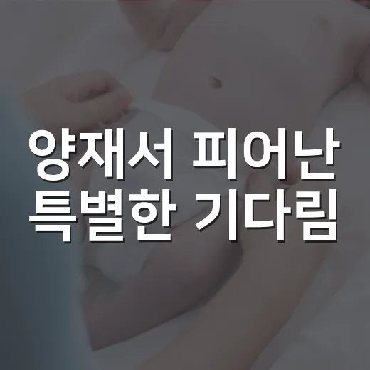 양재서 피어난 특별한 기다림