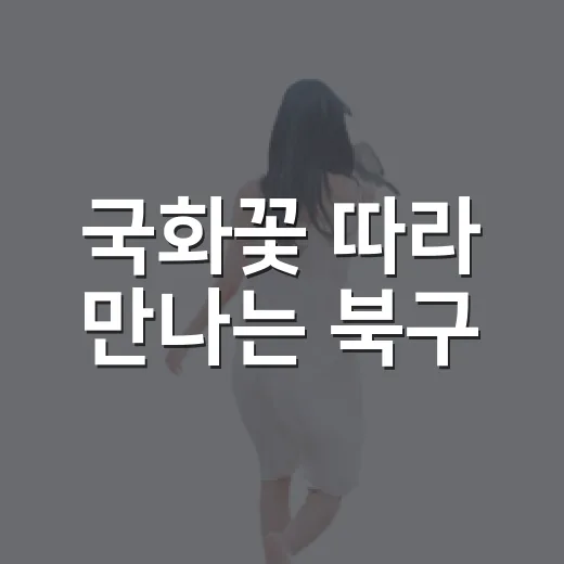 국화꽃 따라 만나는 북구