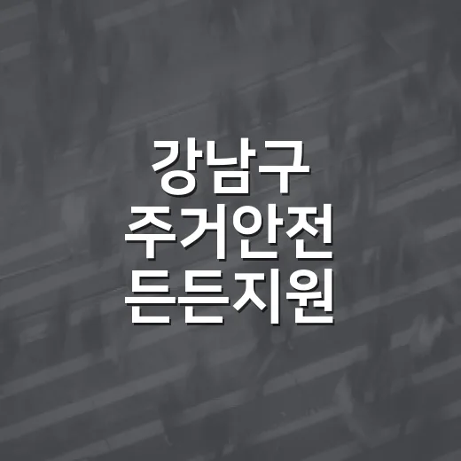 강남구 주거안전 든든지원